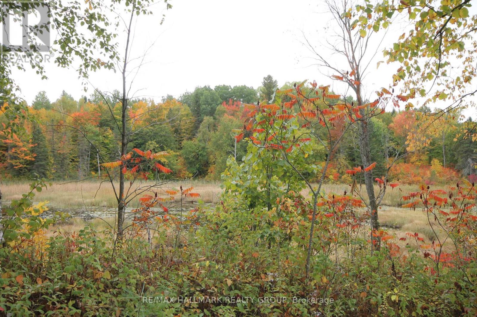4 Mineview Road, Whitewater Region, Ontario  K0J 1Y0 - Photo 40 - X12449448