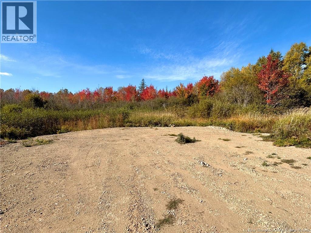 8249 Route 117, Black River Bridge, New Brunswick  E1N 5K4 - Photo 3 - NB128109