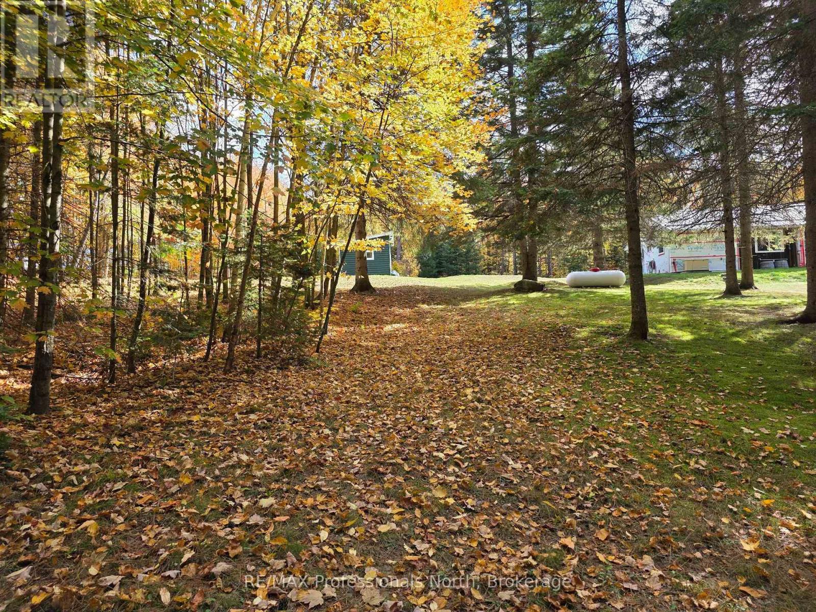 1788 Fern Glen Road Emsdale, Mcmurrich/monteith (Mcmurrich), Ontario  P0A 1J0 - Photo 16 - X12449418