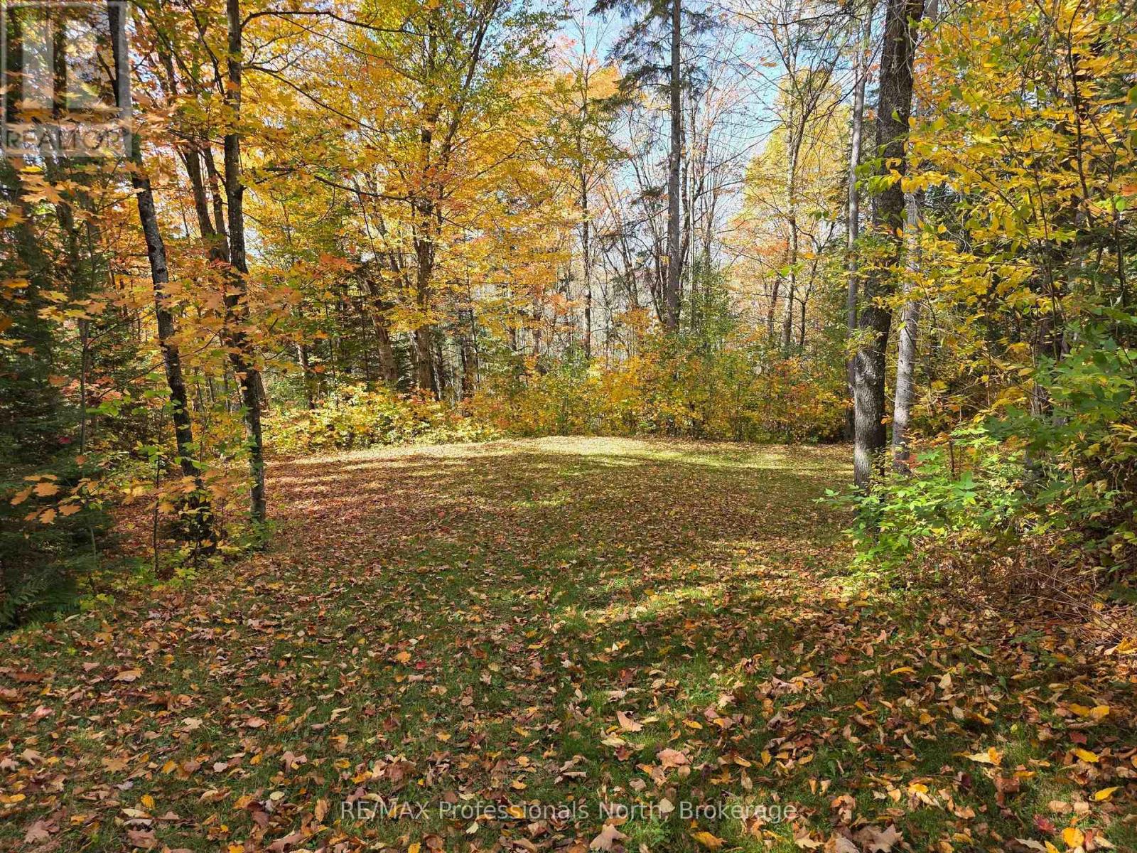1788 Fern Glen Road Emsdale, Mcmurrich/monteith (Mcmurrich), Ontario  P0A 1J0 - Photo 17 - X12449418