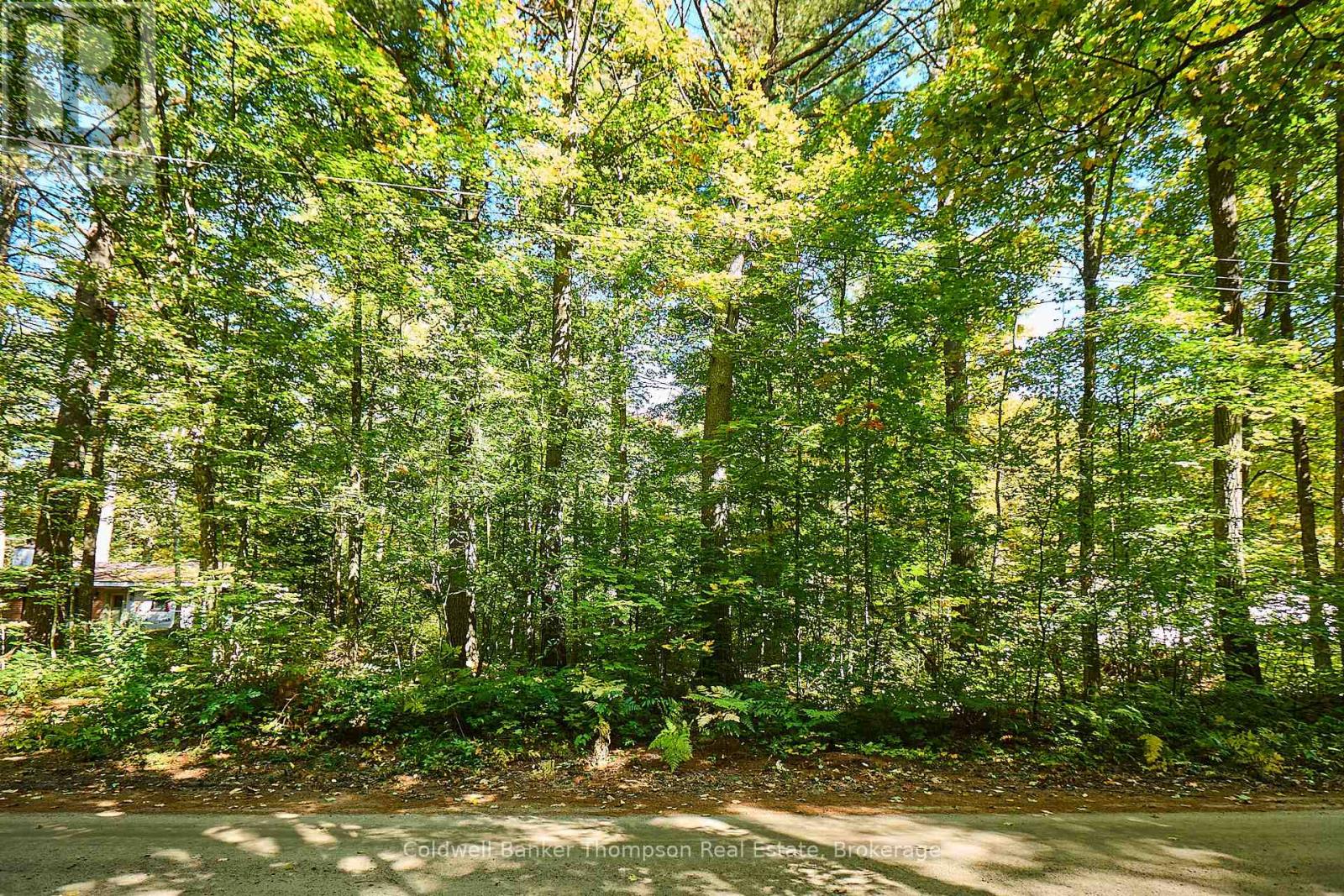 61 Pennys Lane, Huntsville, Ontario  P0B 1M0 - Photo 4 - X12449429