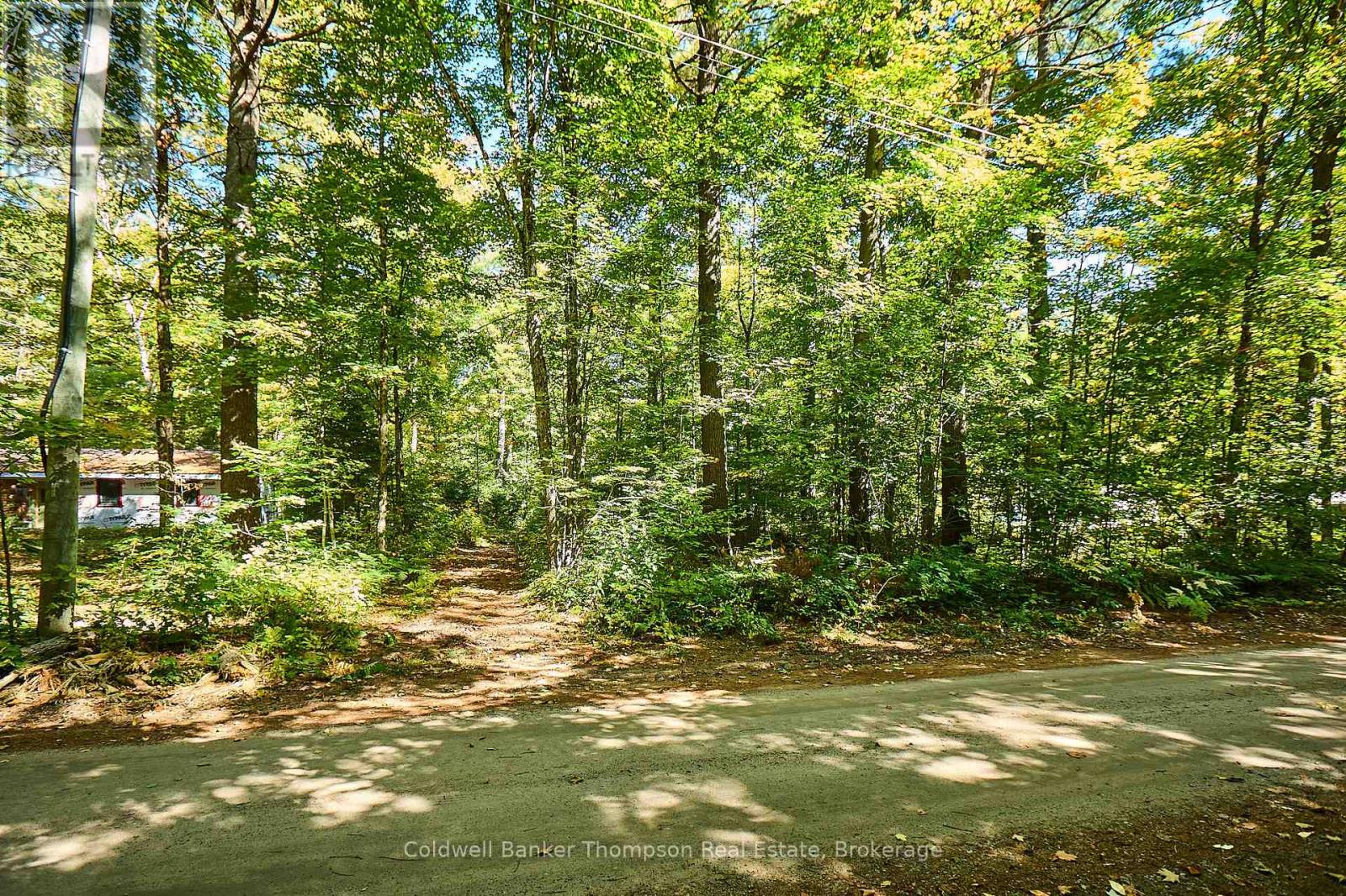 61 Pennys Lane, Huntsville, Ontario  P0B 1M0 - Photo 5 - X12449429