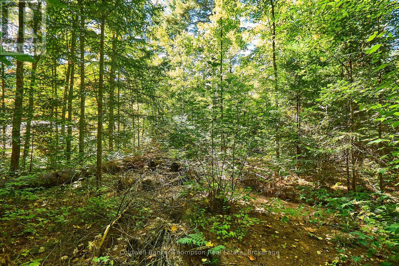 61 Pennys Lane, Huntsville, Ontario  P0B 1M0 - Photo 6 - X12449429