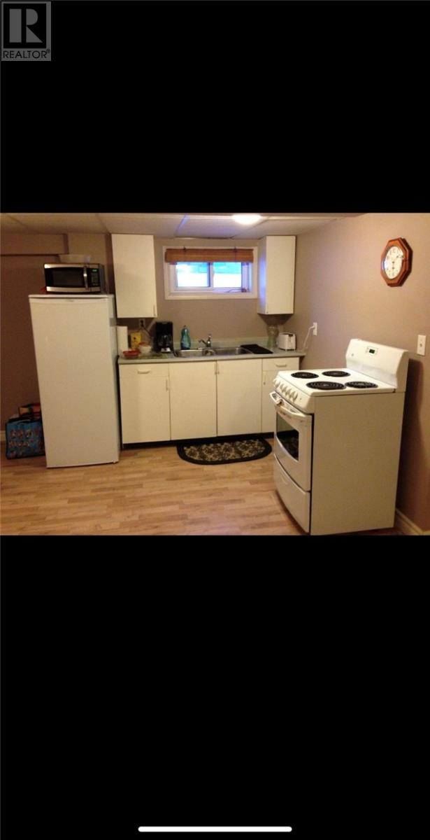 519 Haig, Sudbury, Ontario P3C 1E1 - Photo 21 - 2125098