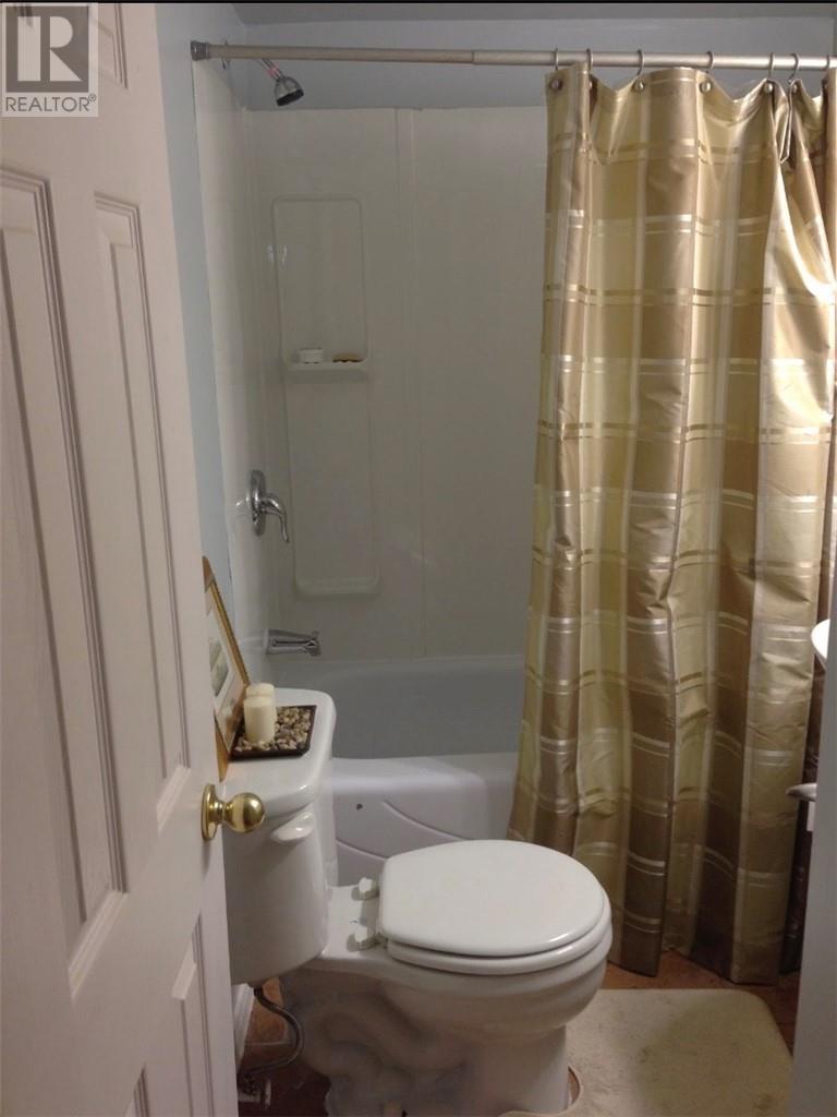 519 Haig, Sudbury, Ontario P3C 1E1 - Photo 23 - 2125098