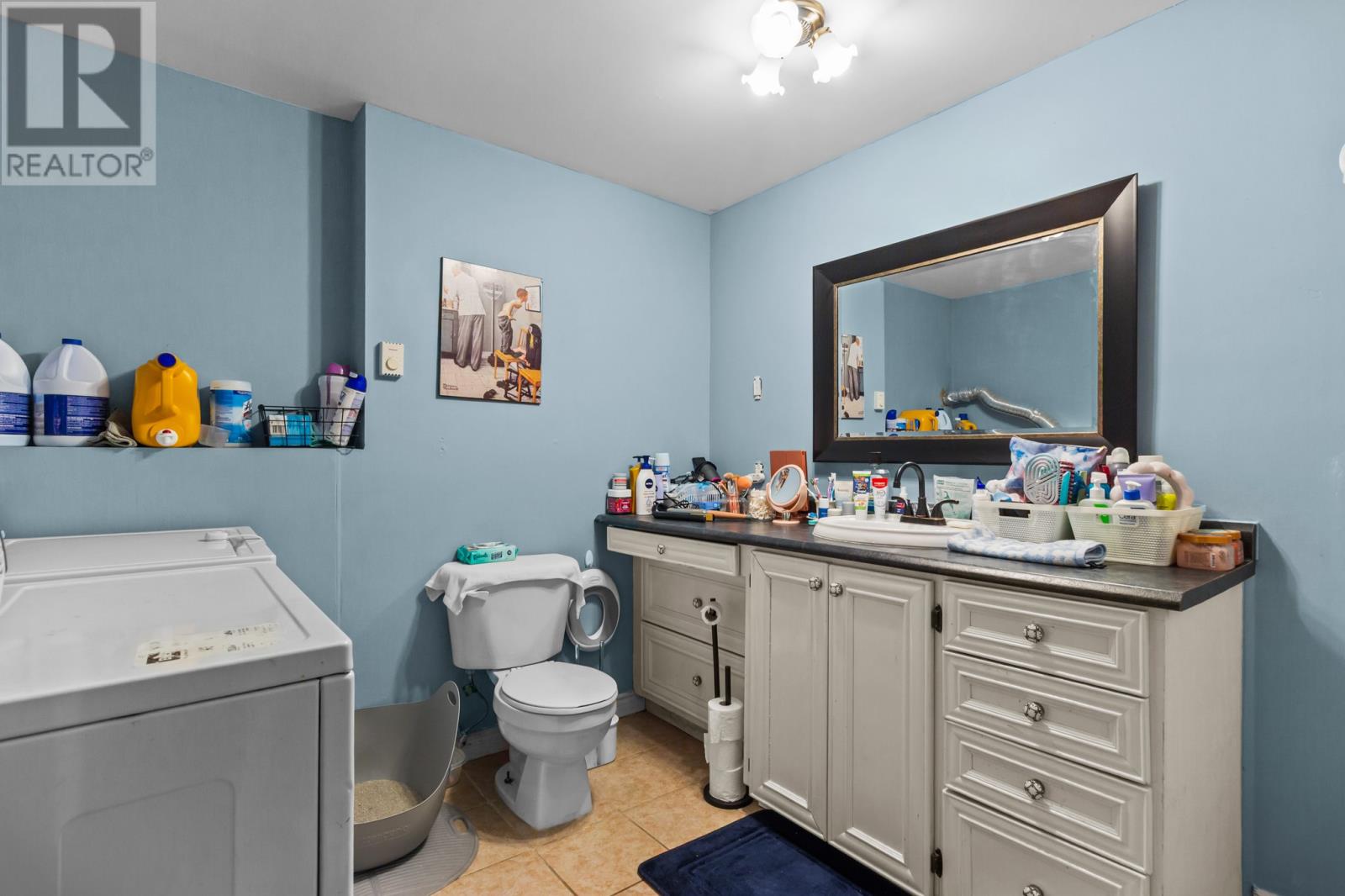 33 Halls Road, St. John's, Newfoundland & Labrador  A1B 5H5 - Photo 19 - 1291239