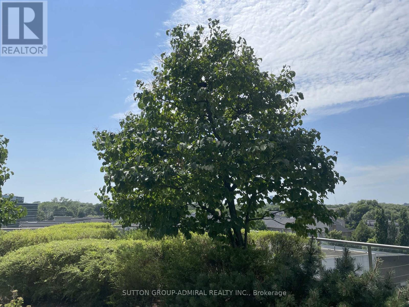 403 - 2240 Lake Shore Boulevard W, Toronto, Ontario  M8V 1A5 - Photo 19 - W12449270