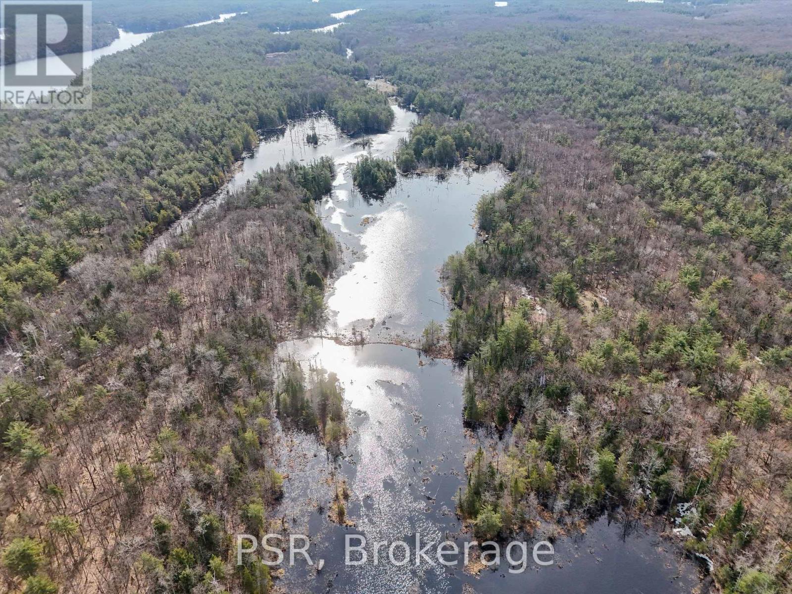 3410 Southwood Road, Gravenhurst, Ontario  P0G 1G0 - Photo 11 - X12324852