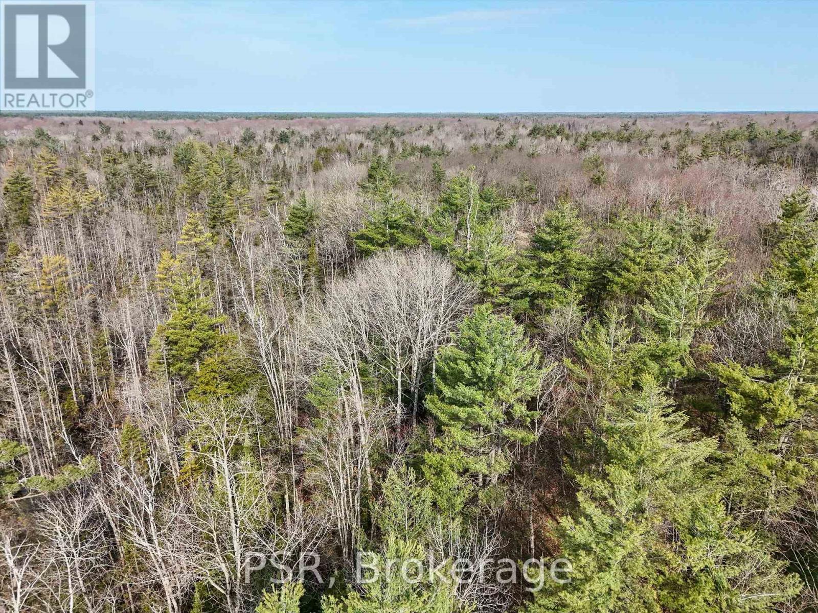 3410 Southwood Road, Gravenhurst, Ontario  P0G 1G0 - Photo 21 - X12324852