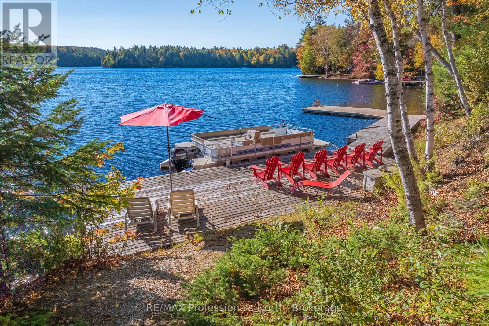 3 - 2901 Limberlost Road, Lake Of Bays (Finlayson), Ontario  P1H 2J6 - Photo 3 - X12076783