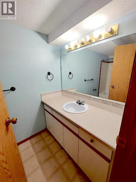3807 52 Street, Wetaskiwin, Alberta  T9A 1M5 - Photo 14 - A2262787