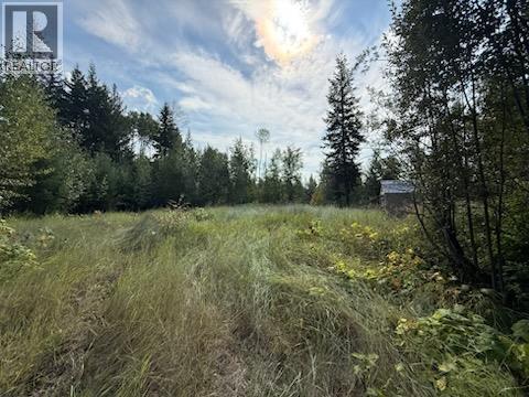 3688 Glengrove Road, Barriere, British Columbia  V0E 1E1 - Photo 14 - 10330415