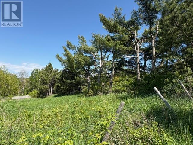 216 West Brooklyn Mountain Road, West Brooklyn, Nova Scotia  B4P 2R3 - Photo 11 - 202512806