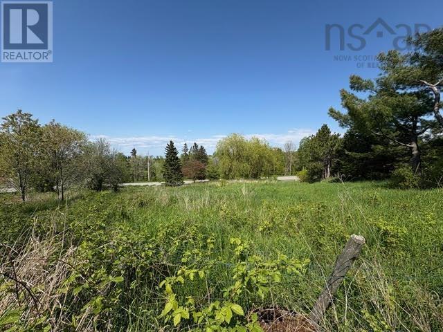 216 West Brooklyn Mountain Road, West Brooklyn, Nova Scotia  B4P 2R3 - Photo 13 - 202512806