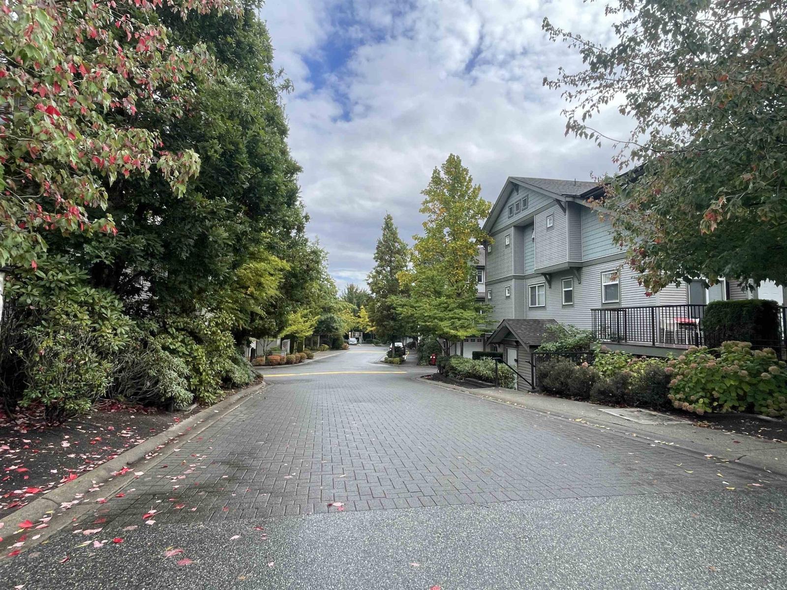 36 8726 159 Street, Surrey, British Columbia  V4N 0A8 - Photo 6 - R3056030