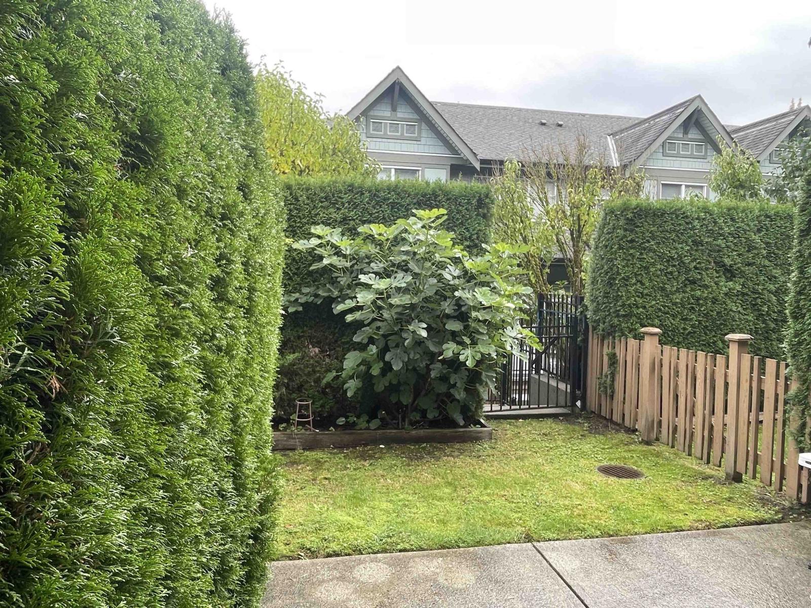 36 8726 159 Street, Surrey, British Columbia  V4N 0A8 - Photo 10 - R3056030