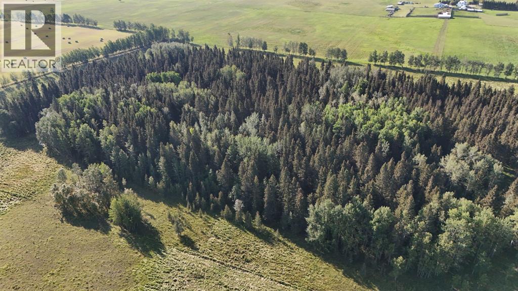 32373 Range Road 52, Rural Mountain View County, Alberta  T0M 1X0 - Photo 7 - A2252342