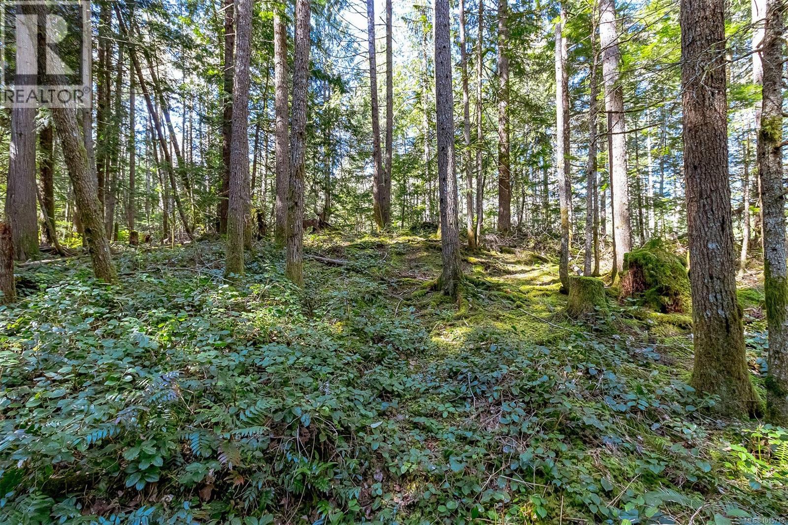 Lot 12 Mountain Rd, Duncan, British Columbia  V9L 6N5 - Photo 22 - 1015715