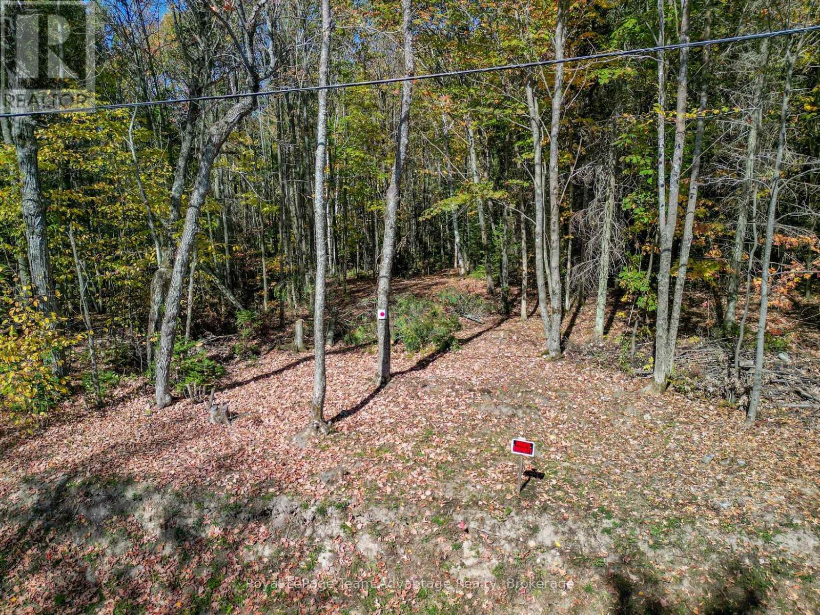 0 Turtle Lake Road, Seguin, Ontario  P0C 1J0 - Photo 24 - X12449658