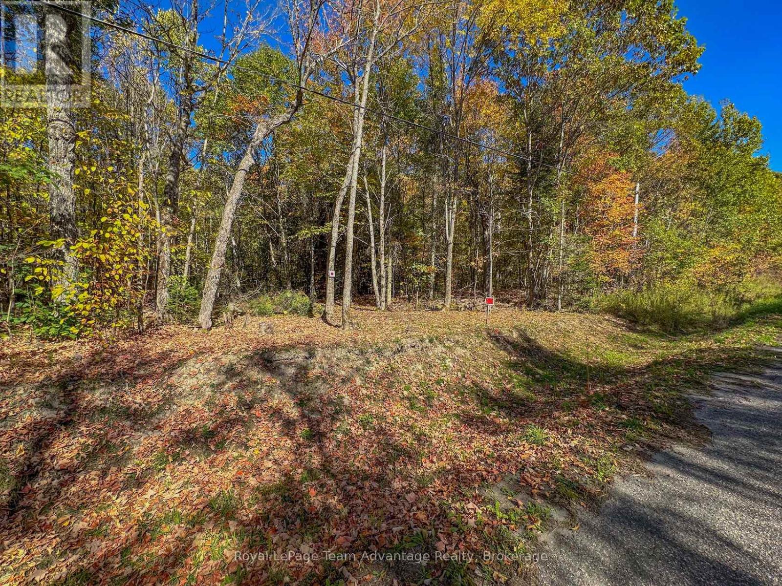 0 Turtle Lake Road, Seguin, Ontario  P0C 1J0 - Photo 25 - X12449658