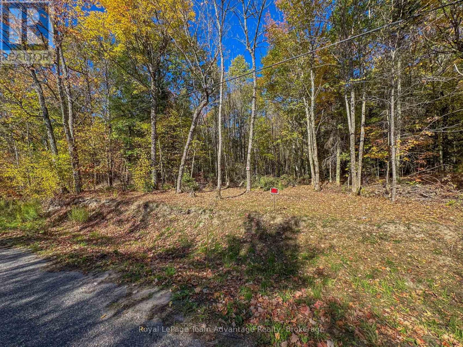 0 Turtle Lake Road, Seguin, Ontario  P0C 1J0 - Photo 26 - X12449658