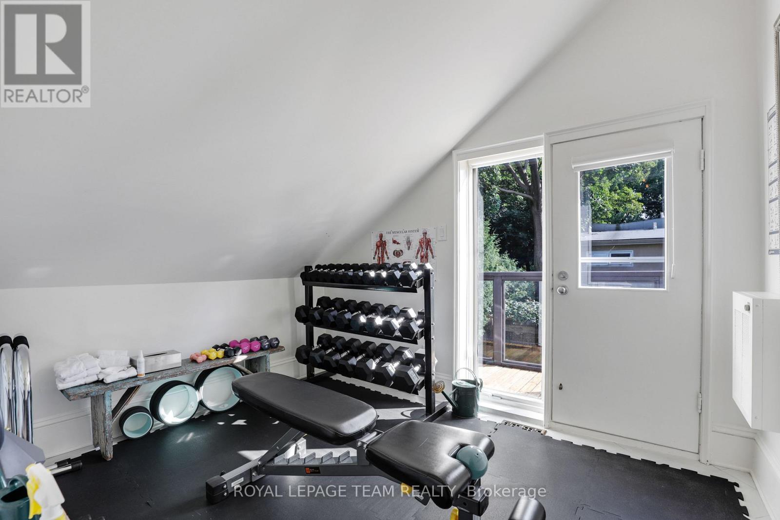 161 Mackay Street, Ottawa, Ontario  K1M 2B5 - Photo 13 - X12449662