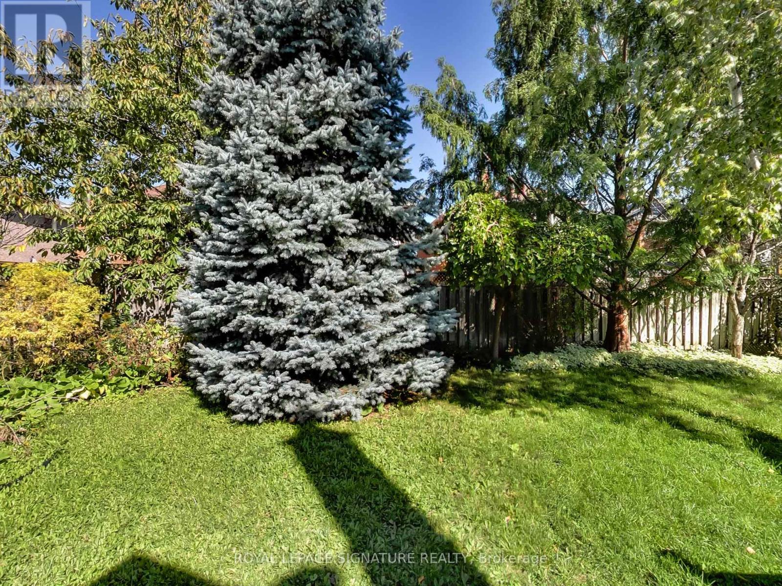4342 Violet Road, Mississauga (East Credit), Ontario  L5V 1J8 - Photo 43 - W12449536