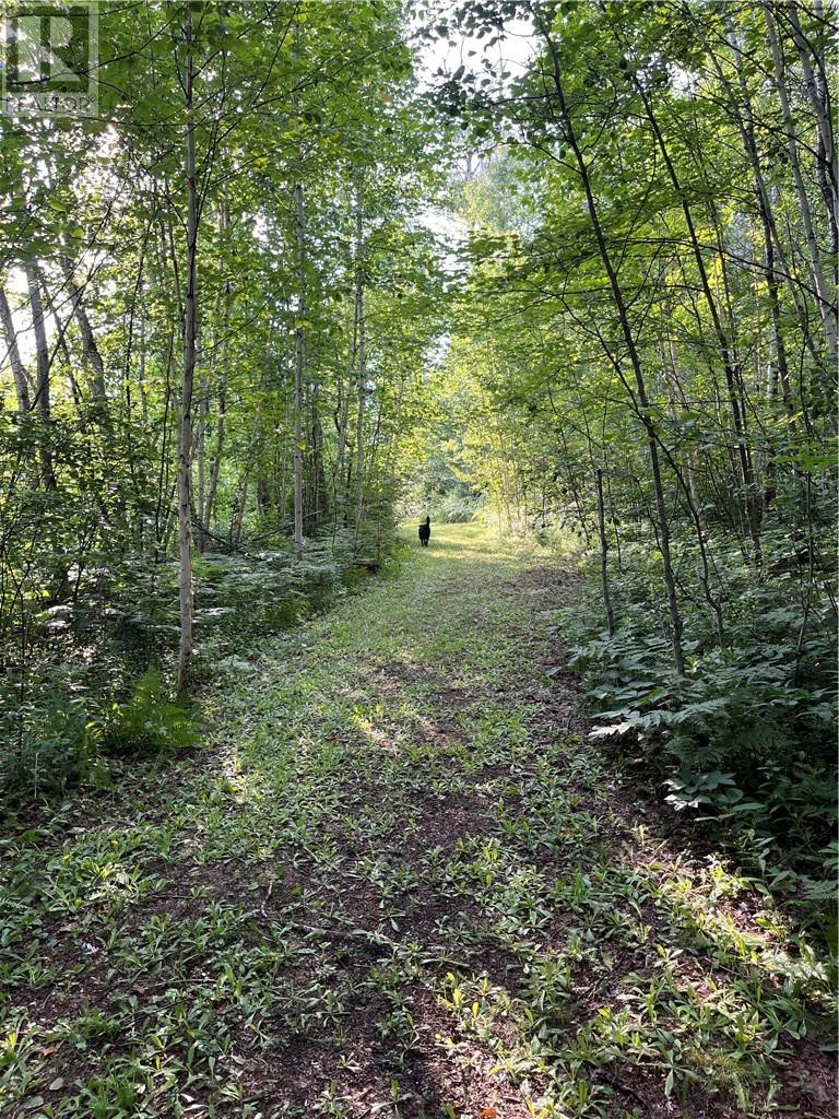 145 Sabourin Street, Greater Sudbury, Ontario  P3E 4N1 - Photo 4 - 2125116