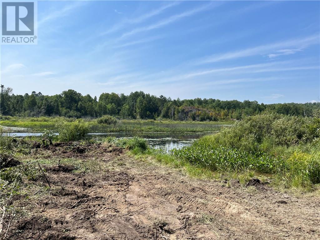 145 Sabourin Street, Greater Sudbury, Ontario  P3E 4N1 - Photo 8 - 2125116