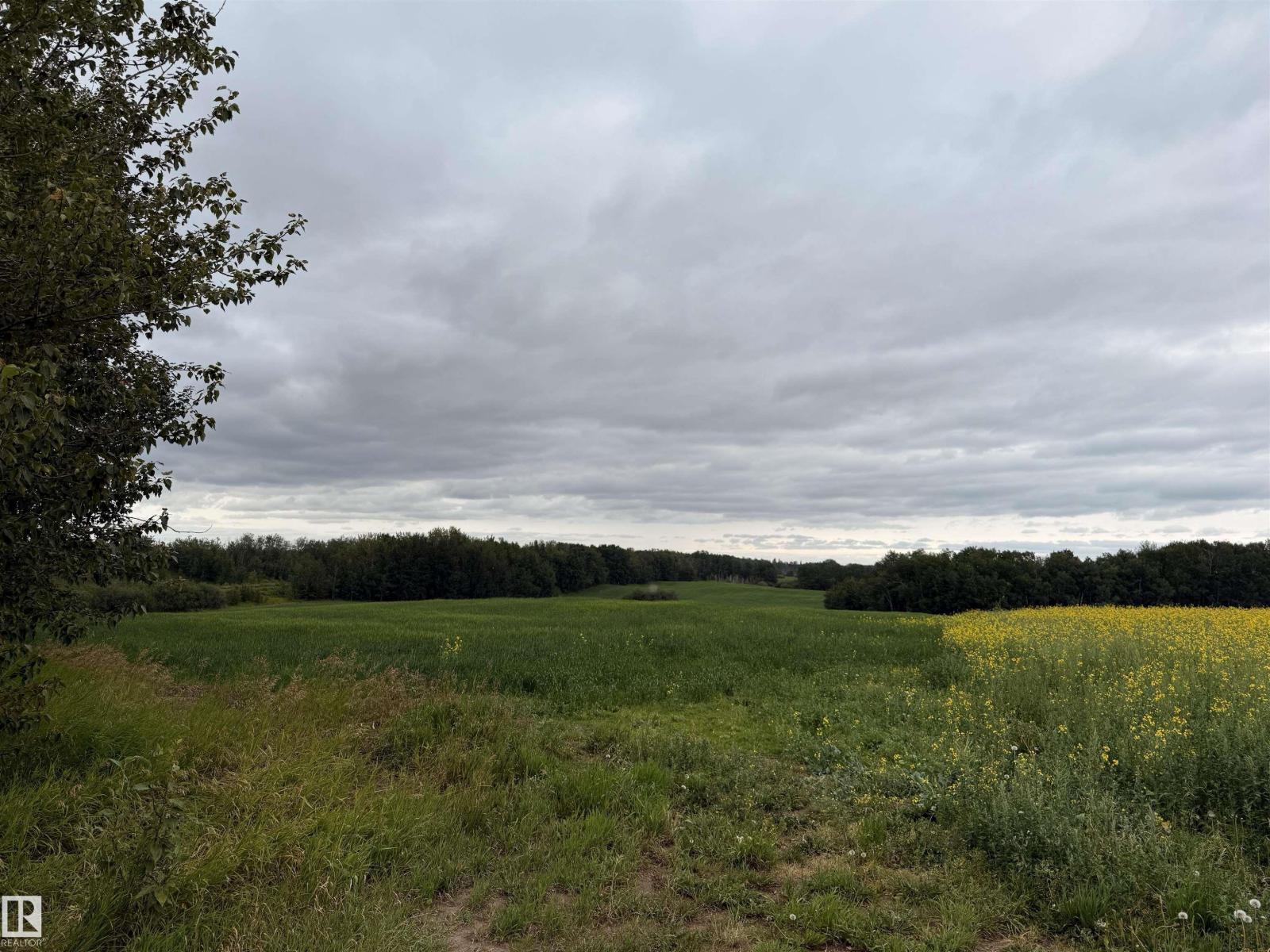 52419 Range Road 12, Rural Parkland County, Alberta  T7Z 2S1 - Photo 8 - E4441582