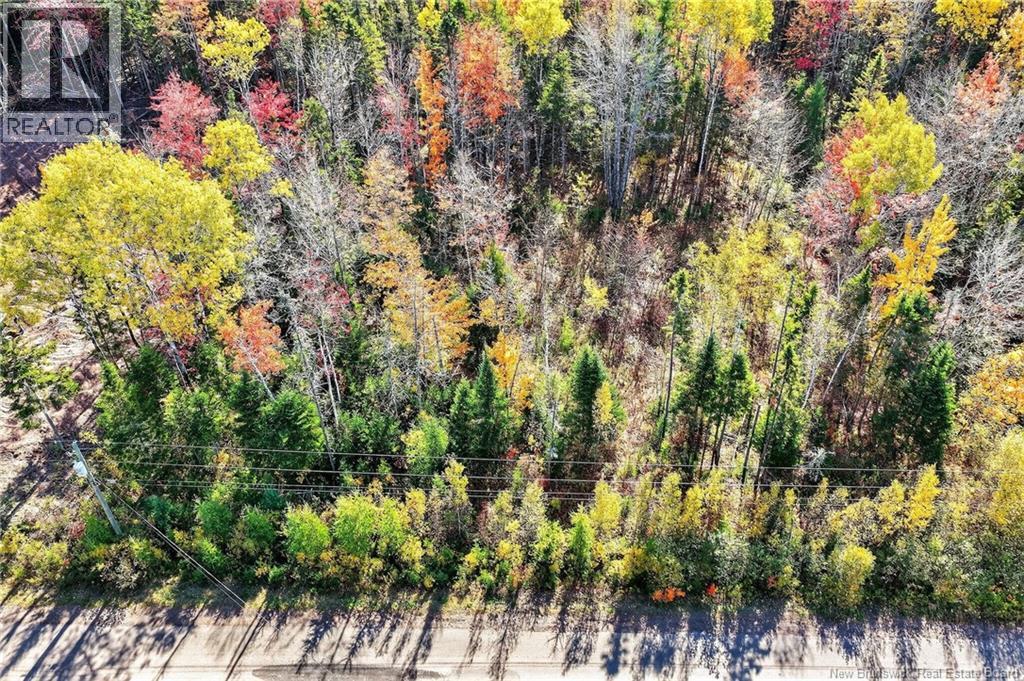 Lot 16 Patriot Court, Salisbury, New Brunswick  E1J 0A8 - Photo 8 - NB127998