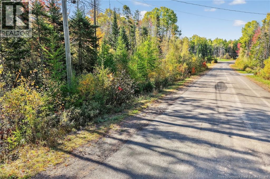 Lot 16 Patriot Court, Salisbury, New Brunswick  E1J 0A8 - Photo 9 - NB127998