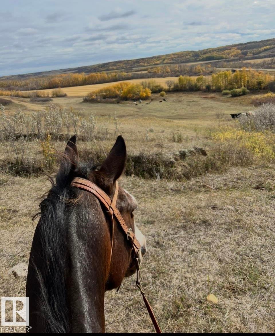 14123 Twp Rd 404, Rural Flagstaff County, Alberta  T0B 1N0 - Photo 35 - E4450265