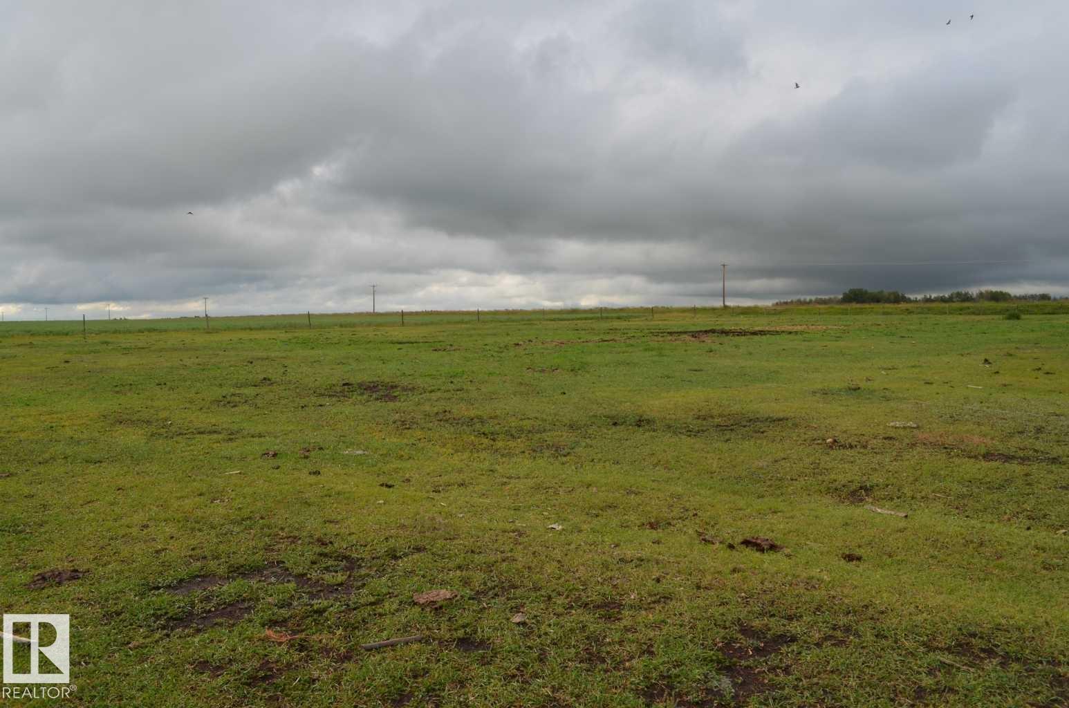14123 Twp Rd 404, Rural Flagstaff County, Alberta  T0B 1N0 - Photo 25 - E4450265