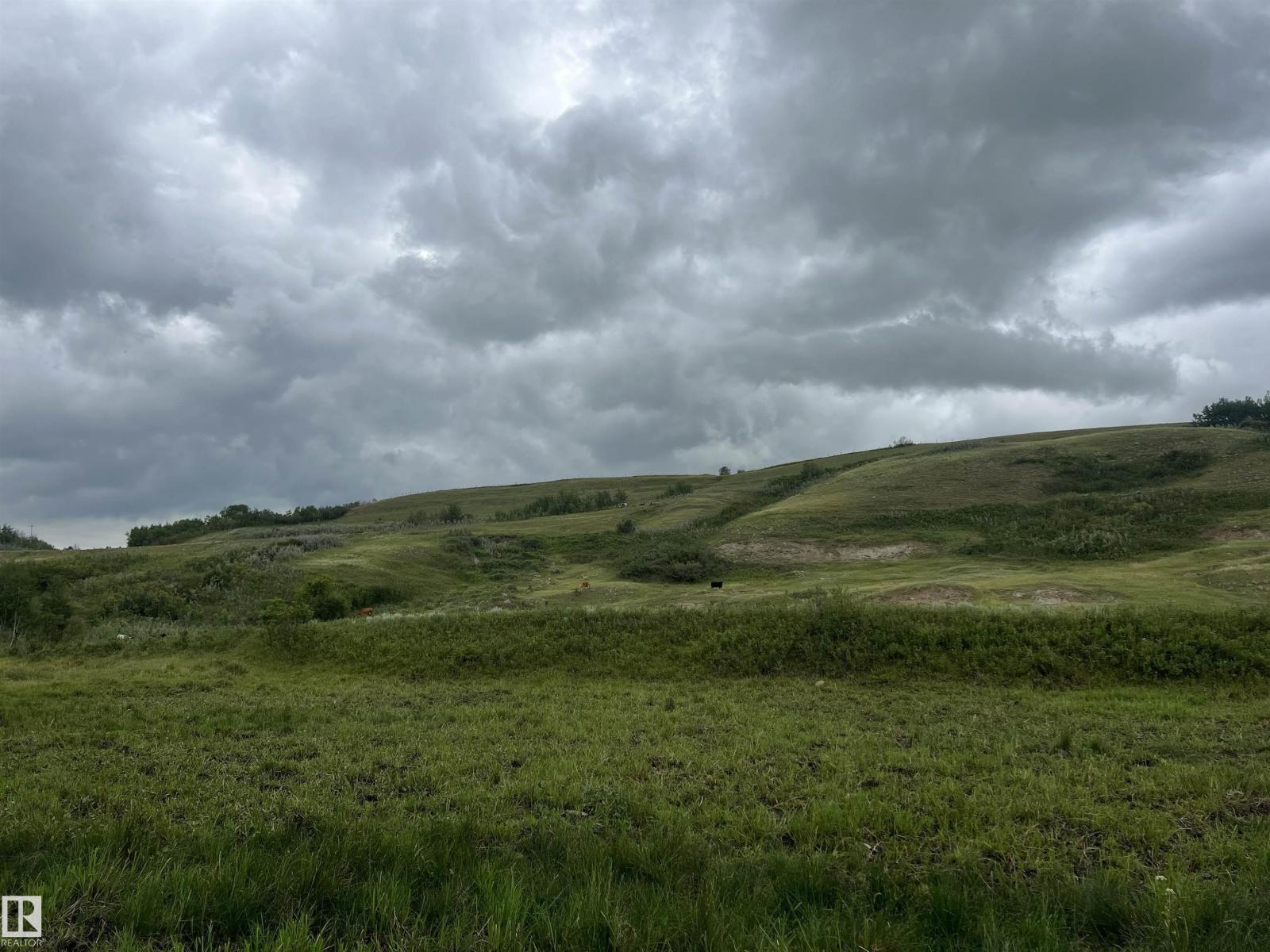 14123 Twp Rd 404, Rural Flagstaff County, Alberta  T0B 1N0 - Photo 31 - E4450265