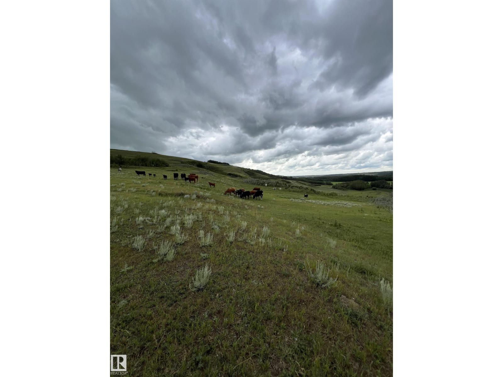 14123 Twp Rd 404, Rural Flagstaff County, Alberta  T0B 1N0 - Photo 32 - E4450265