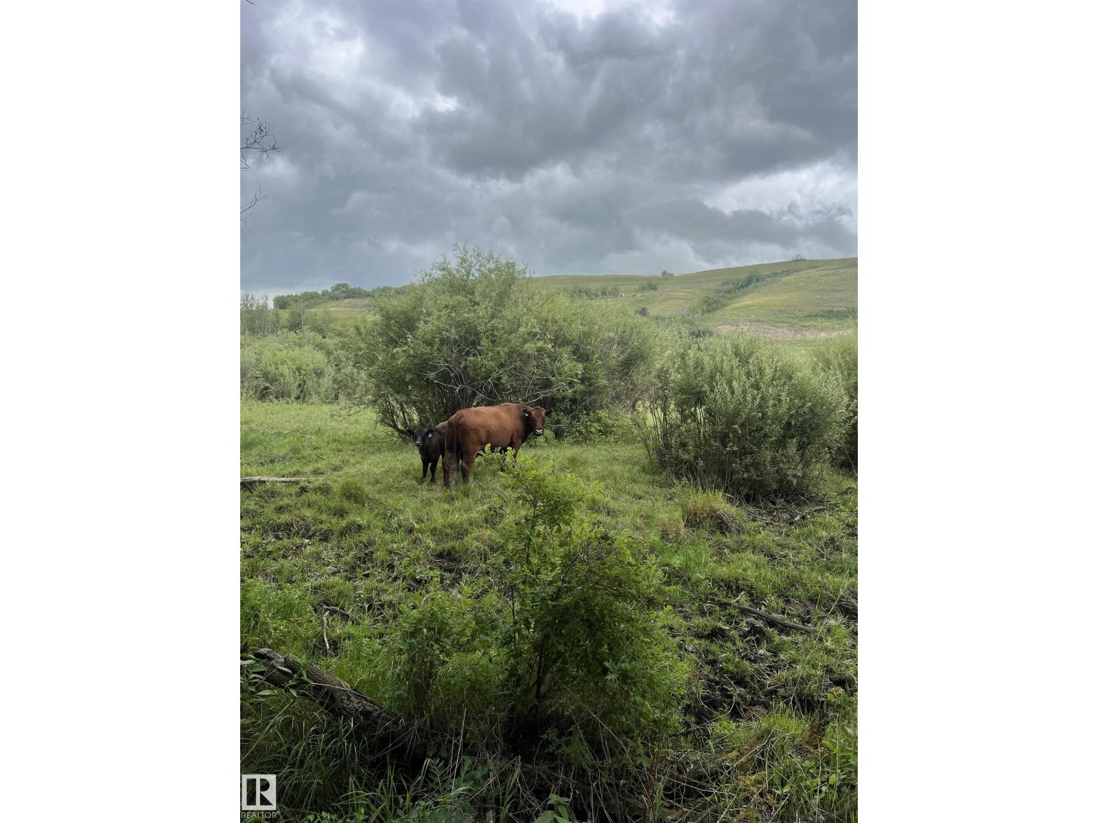 14123 Twp Rd 404, Rural Flagstaff County, Alberta  T0B 1N0 - Photo 30 - E4450265