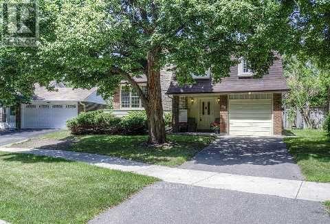Basement - 40 Ravencliff Crescent, Toronto, Ontario  M1T 1R8 - Photo 1 - E12449616