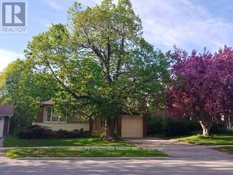 Basement - 40 Ravencliff Crescent, Toronto, Ontario  M1T 1R8 - Photo 2 - E12449616