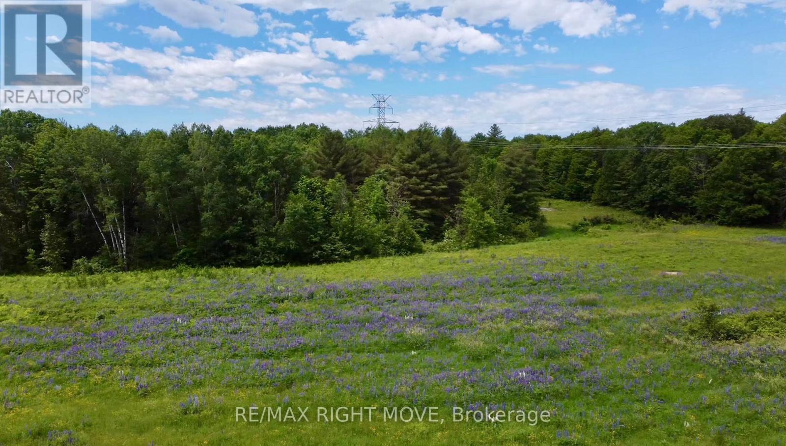 3146 Wasdell Falls Road, Severn, Ontario  L0K 2B0 - Photo 10 - S12449612