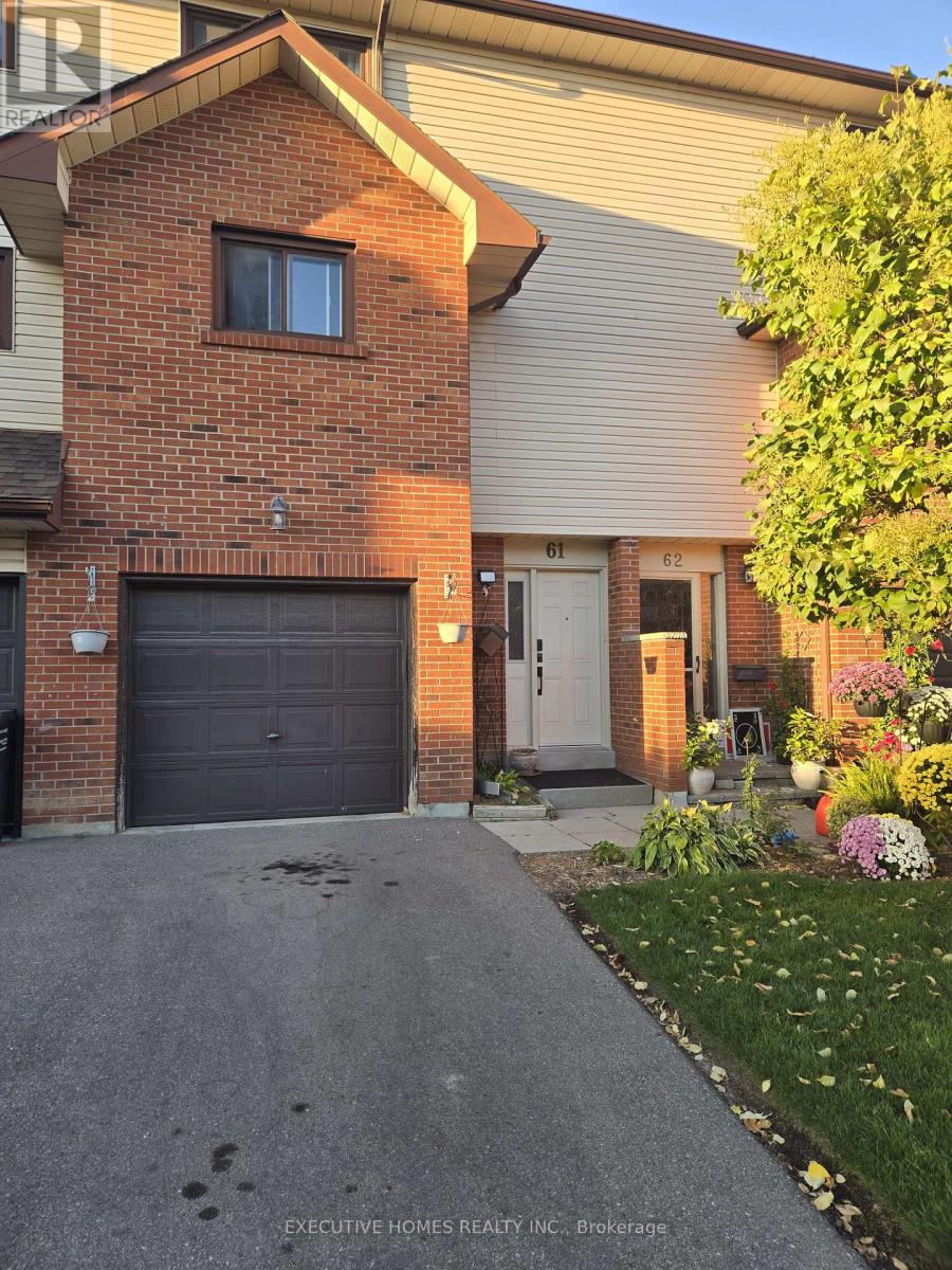 61 COLLINS CRESCENT, Brampton, Ontario