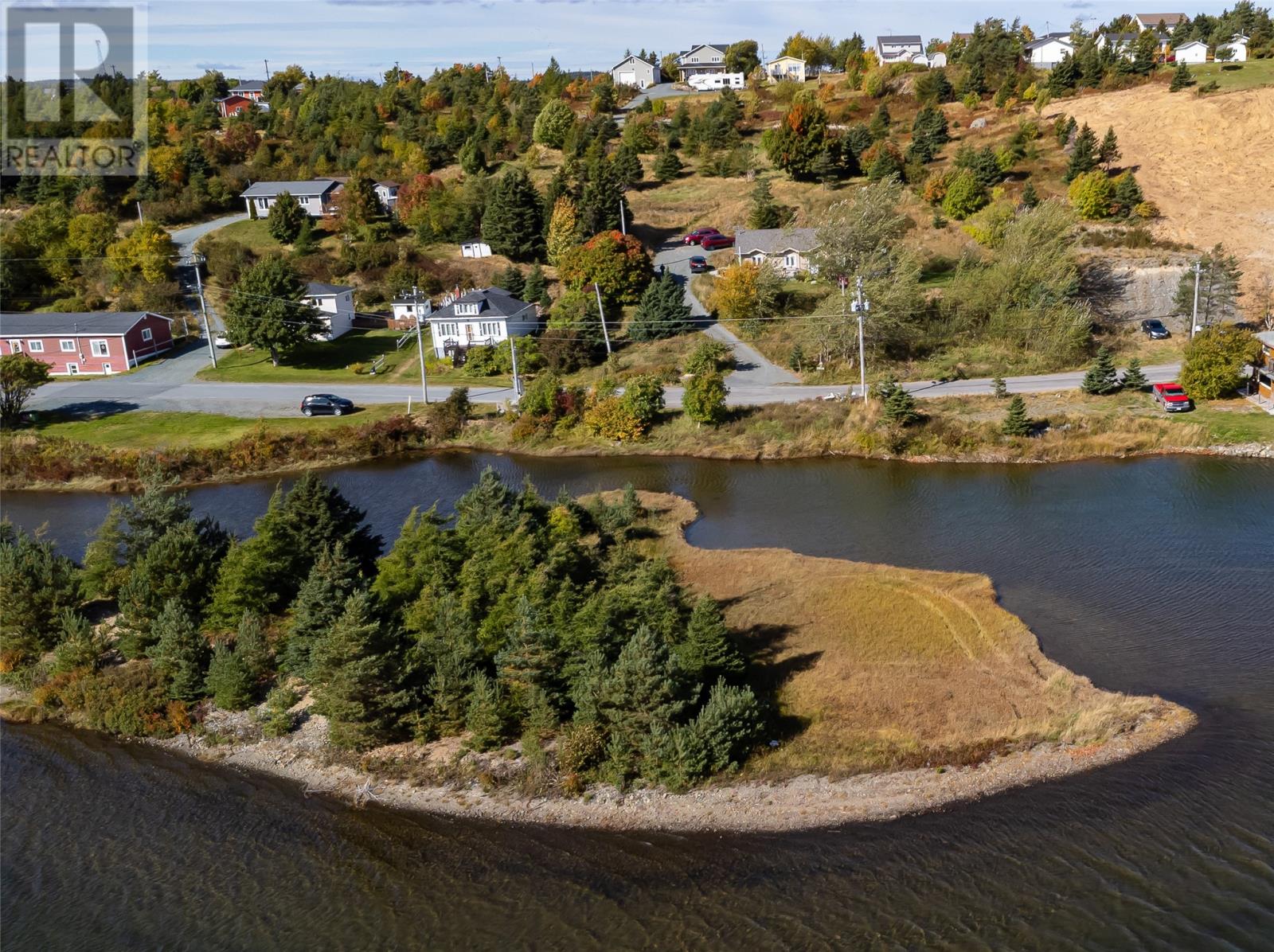 99 Coley's Point South Road, Bay Roberts, Newfoundland & Labrador  A0A 1X0 - Photo 4 - 1291305