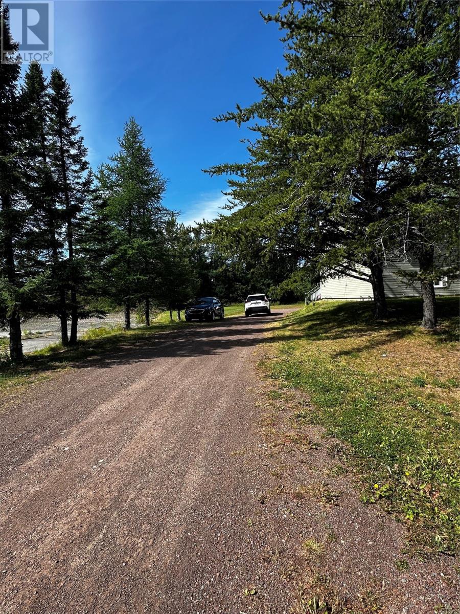 3 Badger Drive, Badger, Newfoundland & Labrador  A0H 1A0 - Photo 4 - 1291297