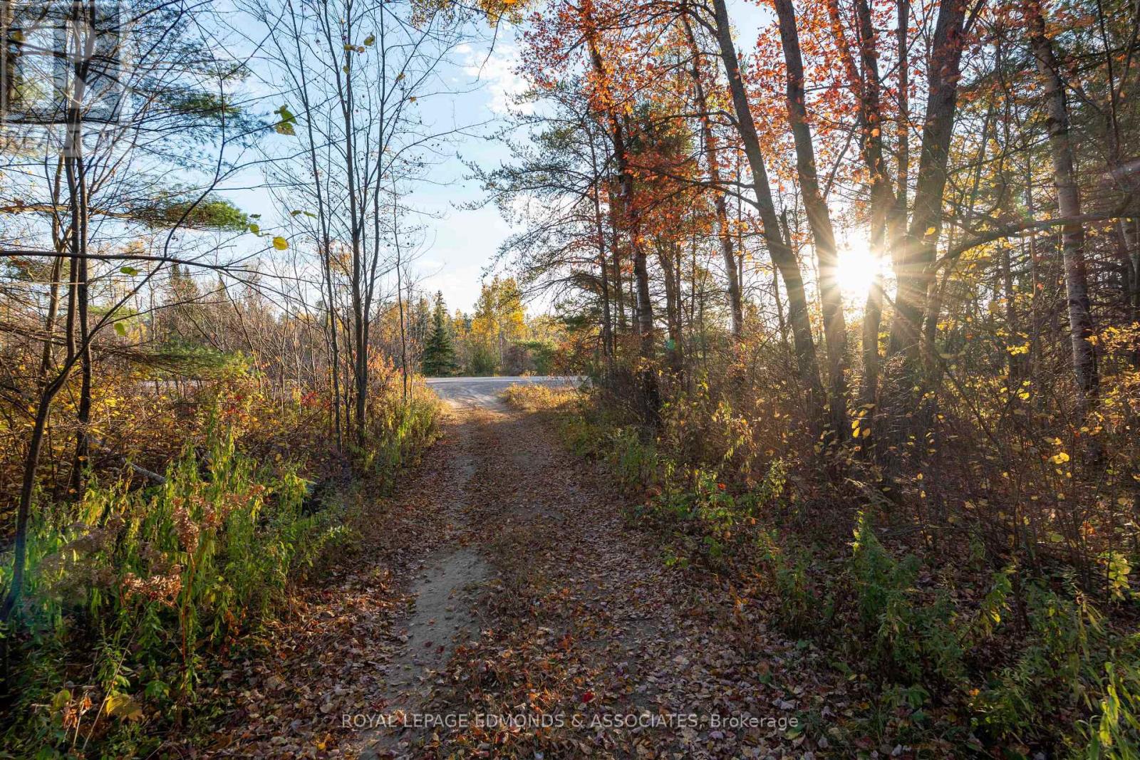 00 Highway 17 Highway, Laurentian Hills, Ontario  K0J 1J0 - Photo 1 - X12449902
