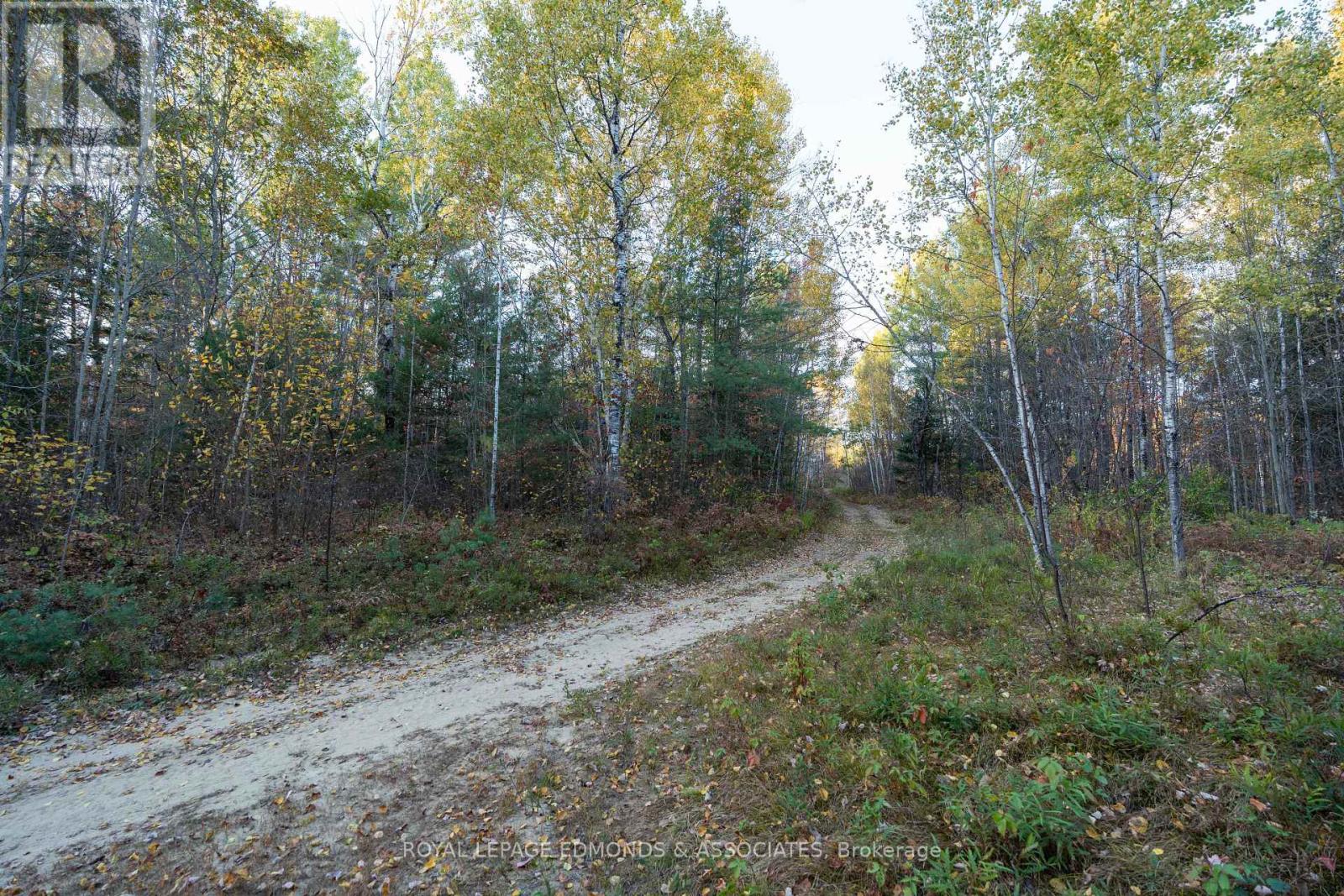 00 Highway 17 Highway, Laurentian Hills, Ontario  K0J 1J0 - Photo 2 - X12449902