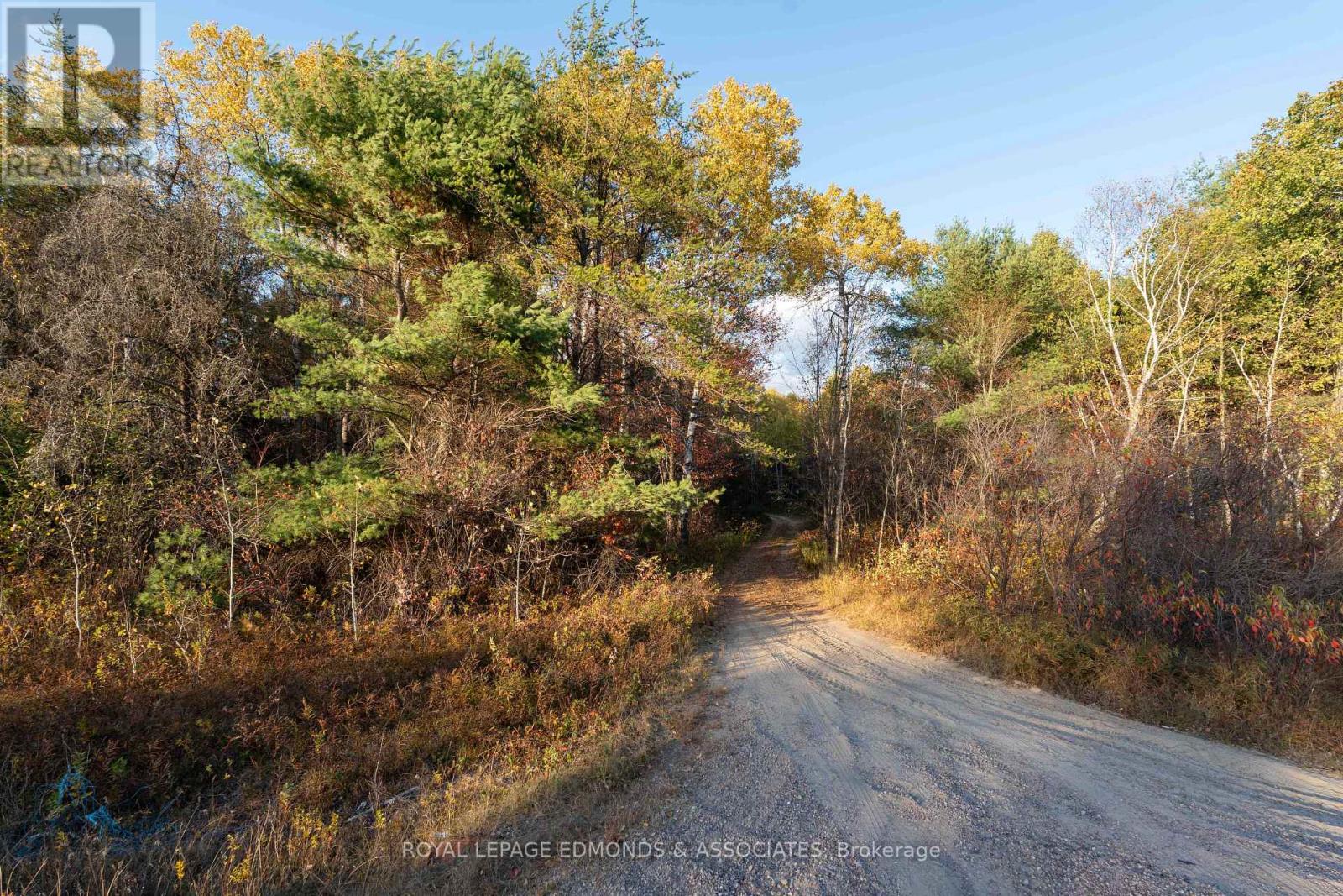 00 Highway 17 Highway, Laurentian Hills, Ontario  K0J 1J0 - Photo 3 - X12449902