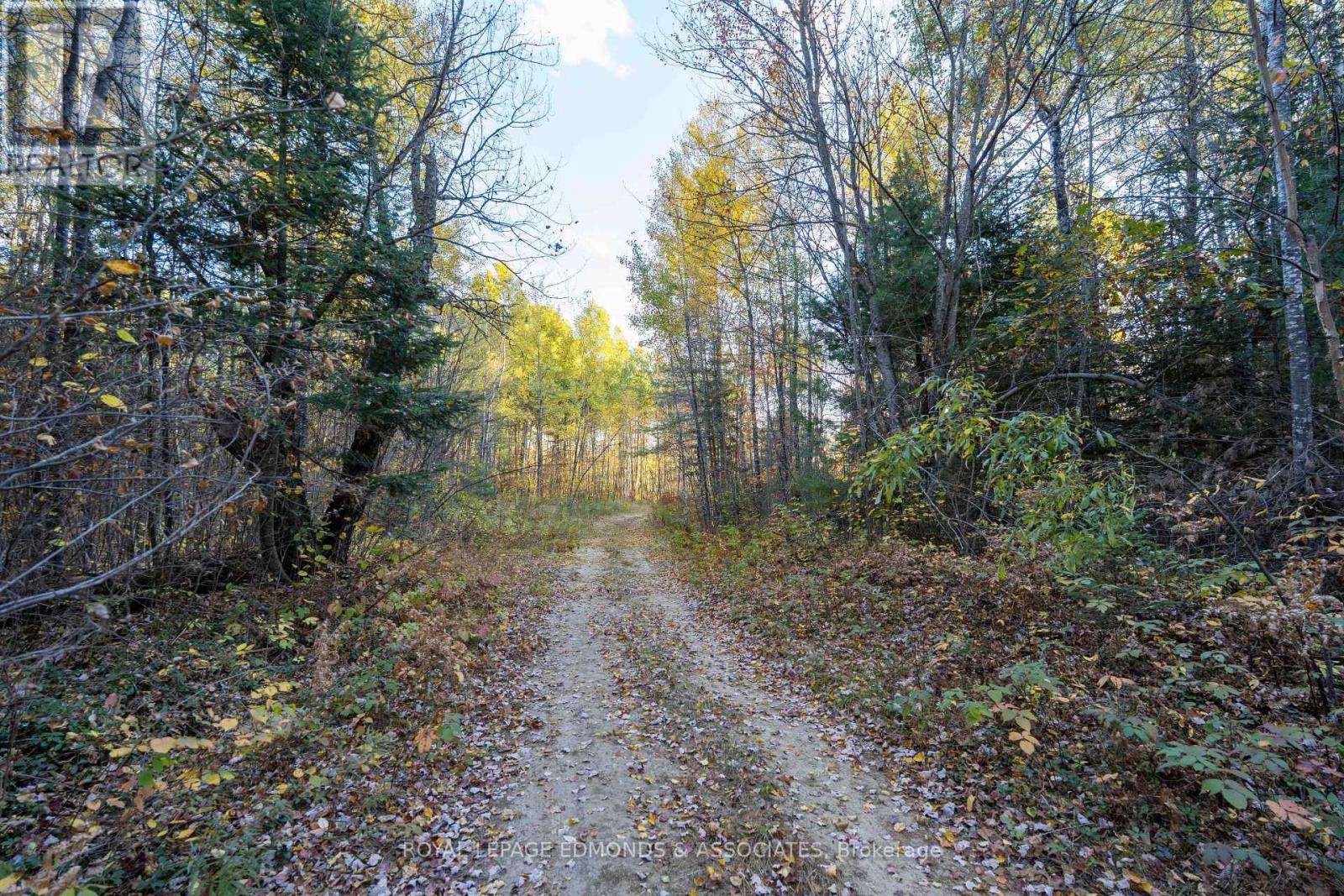 00 Highway 17 Highway, Laurentian Hills, Ontario  K0J 1J0 - Photo 4 - X12449902