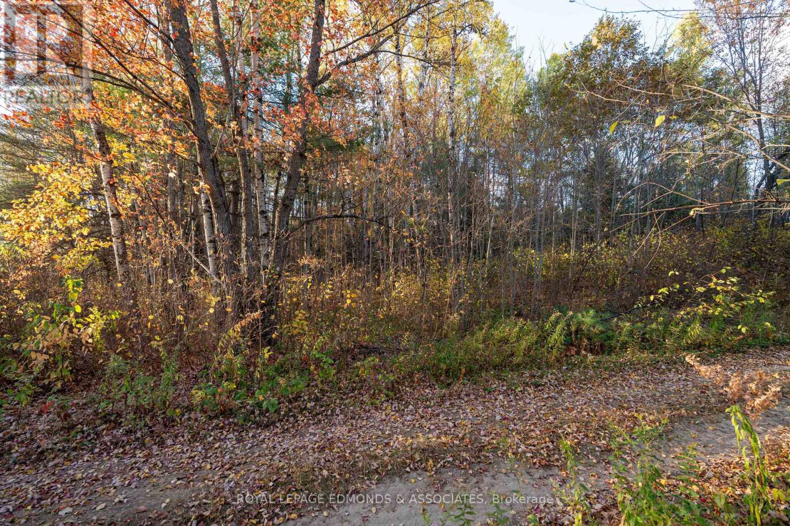00 Highway 17 Highway, Laurentian Hills, Ontario  K0J 1J0 - Photo 5 - X12449902