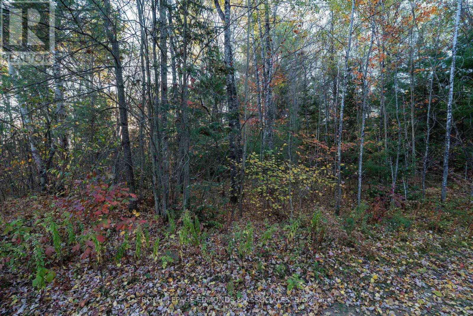00 Highway 17 Highway, Laurentian Hills, Ontario  K0J 1J0 - Photo 6 - X12449902