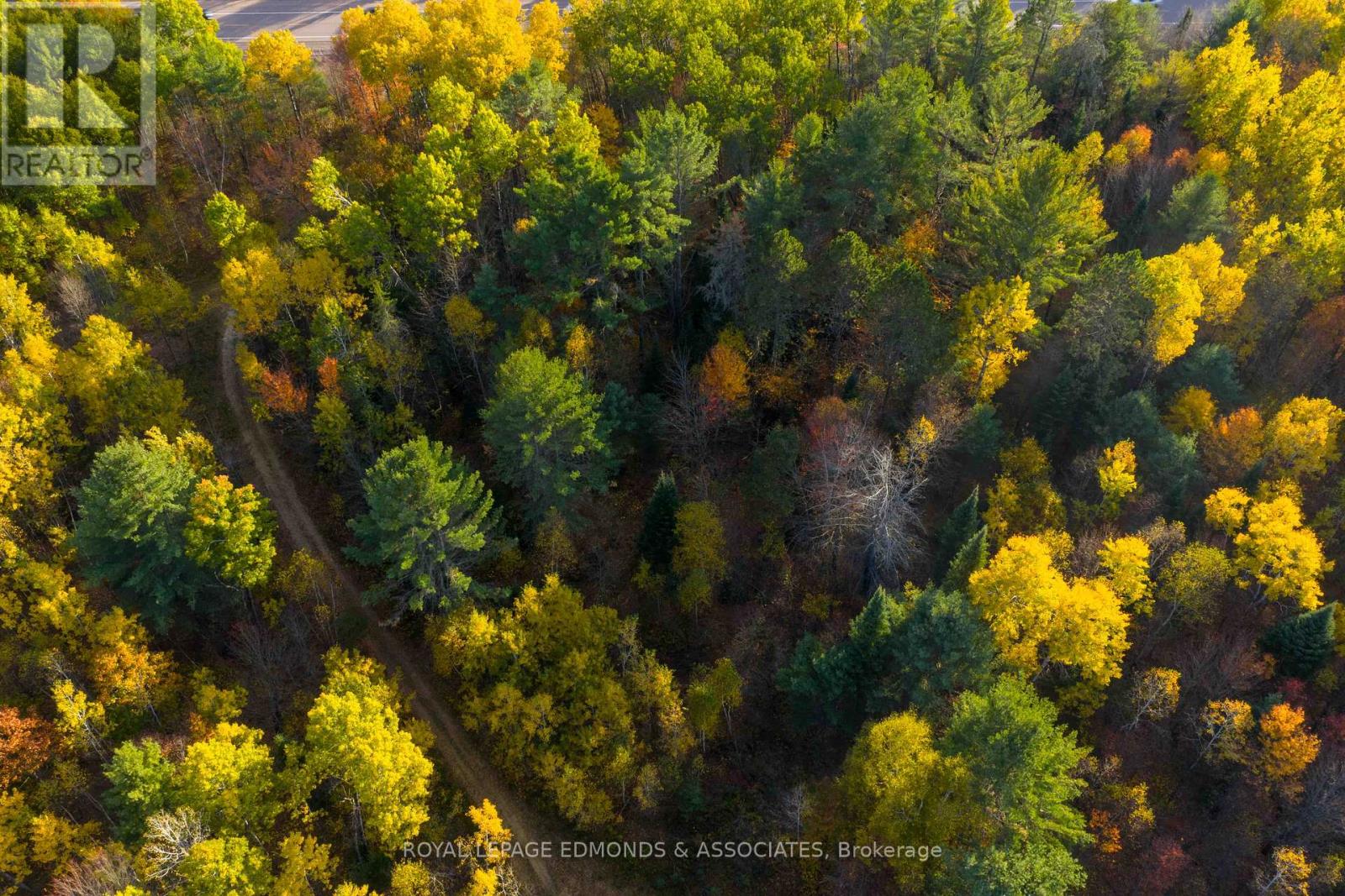 00 Highway 17 Highway, Laurentian Hills, Ontario  K0J 1J0 - Photo 7 - X12449902